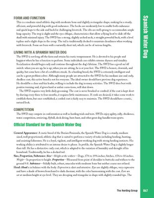 Show full view: New Complete Dog Book, AKC Official Breed Standards & Profiles for Over 200 Breeds slide 6 of 8