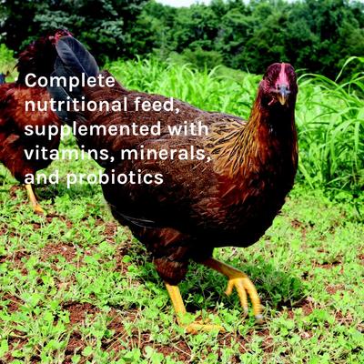 Show full view: New Country Organics Classic Grind Layer Chicken Feed, 50-lb bag slide 7 of 8