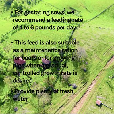 Show full view: New Country Organics Corn-Free 12% Swine Feed, 40-lb bag slide 8 of 8