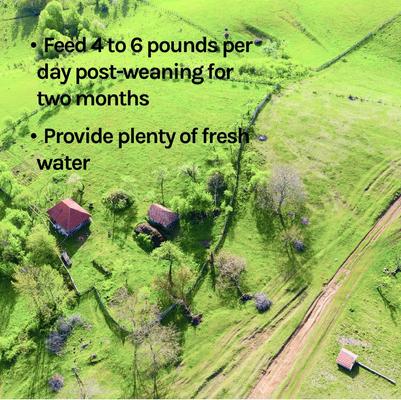 Show full view: New Country Organics Corn-Free 16% Swine Feed, 40-lb bag slide 8 of 8