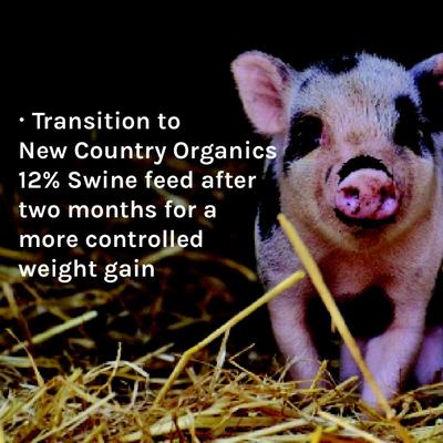 Show full view: New Country Organics Corn-Free 16% Swine Feed, 40-lb bag slide 7 of 8