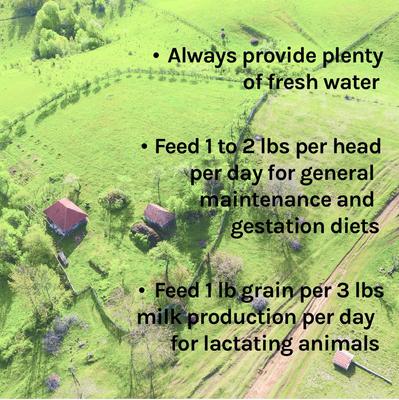 Show full view: New Country Organics Goat Feed, 40-lb bag slide 8 of 8