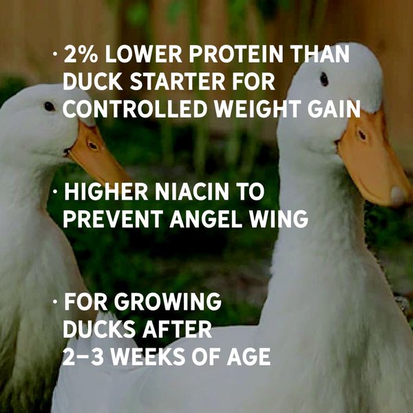 Show full view: New Country Organics Grower Duck Feed, 40-lb bag slide 6 of 8