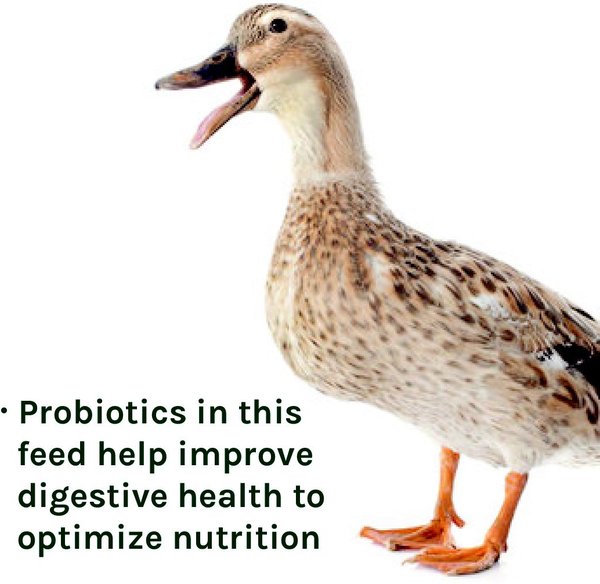 Show full view: New Country Organics Grower Duck Feed, 40-lb bag slide 7 of 8