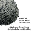 Show in main carousel: New Country Organics Kelp Based Healthy Mineral for Cattle, Goats, & Horses, 40-lb bag slide 7 of 8
