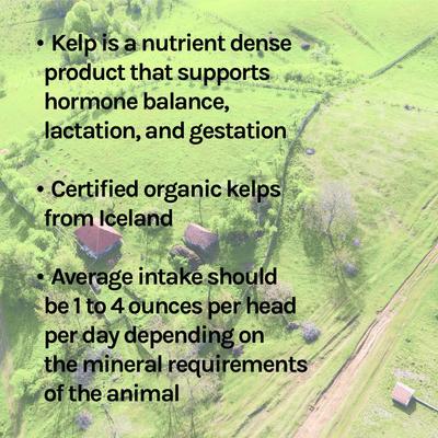 Show full view: New Country Organics Kelp Based Healthy Mineral for Cattle, Goats, & Horses, 40-lb bag slide 8 of 8