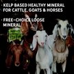 Show in main carousel: New Country Organics Kelp Based Healthy Mineral for Cattle, Goats, & Horses, 40-lb bag slide 6 of 8