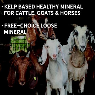 Show full view: New Country Organics Kelp Based Healthy Mineral for Cattle, Goats, & Horses, 40-lb bag slide 6 of 8