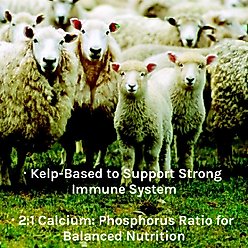 New Country Organics Kelp Based Healthy Mineral for Sheep, 40-lb bag slide 2 of 8