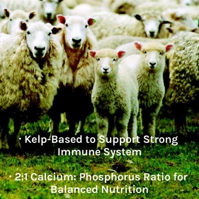 Show full view: New Country Organics Kelp Based Healthy Mineral for Sheep, 40-lb bag slide 7 of 8