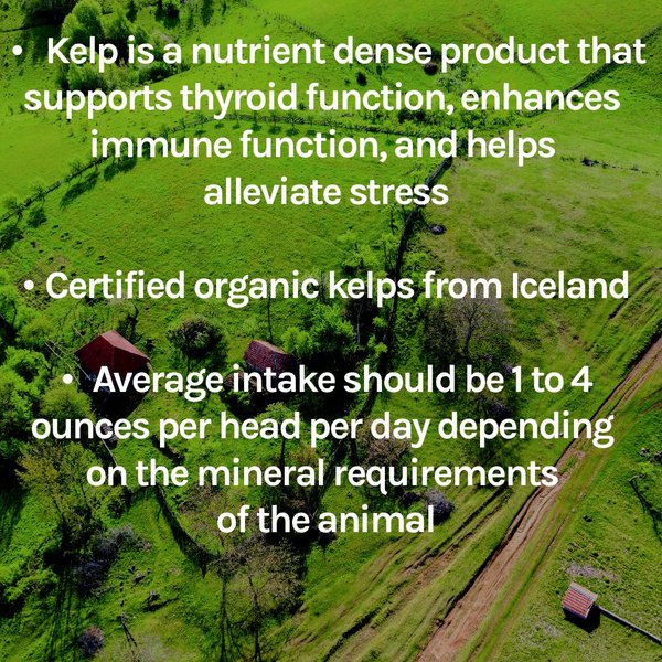Show full view: New Country Organics Kelp Based Healthy Mineral for Sheep, 40-lb bag slide 8 of 8