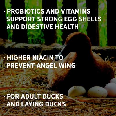 Show full view: New Country Organics Layer Duck Feed, 40-lb bag slide 6 of 8