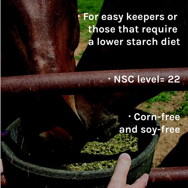 Show full view: New Country Organics Low Starch Horse Feed, 40-lb bag slide 4 of 8