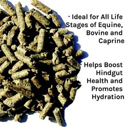 New Country Organics Non-GMO Beet Pulp Pellets Horse Supplement, 40-lb bag slide 2 of 7