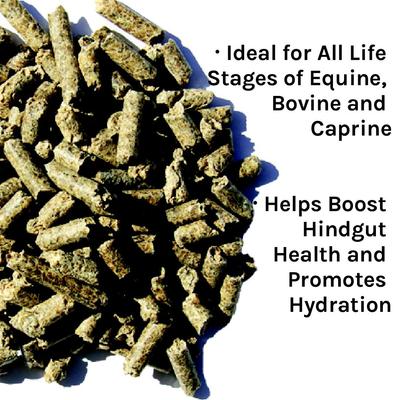 Show full view: New Country Organics Non-GMO Beet Pulp Pellets Horse Supplement, 40-lb bag slide 3 of 8