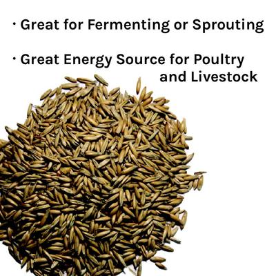 Show full view: New Country Organics Oats Horse Supplement, 40-lb bag slide 3 of 7