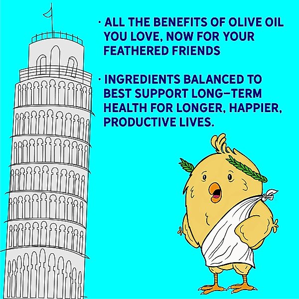 Show full view: New Country Organics Organic Olive Oil Grower Broiler Chicken Feed, 40-lb bag slide 6 of 8