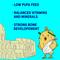 Show in main carousel: New Country Organics Organic Olive Oil Grower Broiler Chicken Feed, 40-lb bag slide 7 of 8
