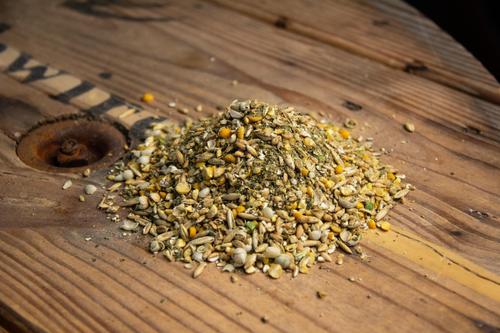 Show full view: New Country Organics Organic Olive Oil Grower Broiler Chicken Feed, 40-lb bag slide 2 of 8