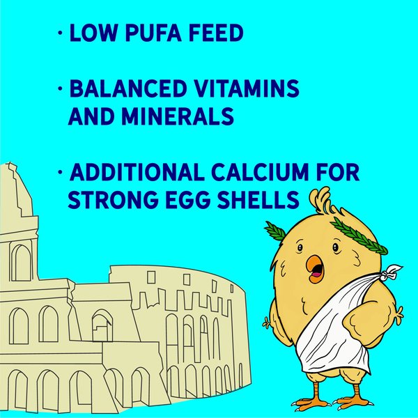 Show full view: New Country Organics Organic Olive Oil Layer Chicken Feed, 40-lb bag slide 7 of 9