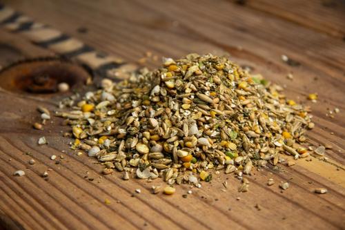 Show full view: New Country Organics Organic Olive Oil Layer Chicken Feed, 40-lb bag slide 2 of 9