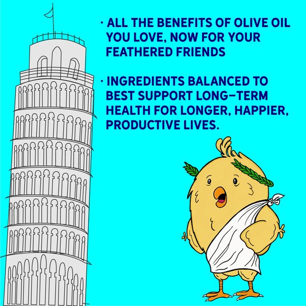 Show full view: New Country Organics Organic Olive Oil Layer Chicken Feed, 40-lb bag slide 6 of 9