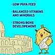 Show in main carousel: New Country Organics Organic Olive Oil Starter Chicken Feed, 40-lb bag slide 7 of 8