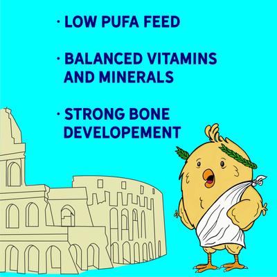 Show full view: New Country Organics Organic Olive Oil Starter Chicken Feed, 40-lb bag slide 7 of 8