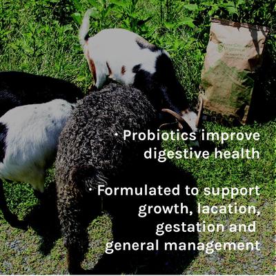 Show full view: New Country Organics Pellets Goat Feed, 40-lb bag slide 7 of 8