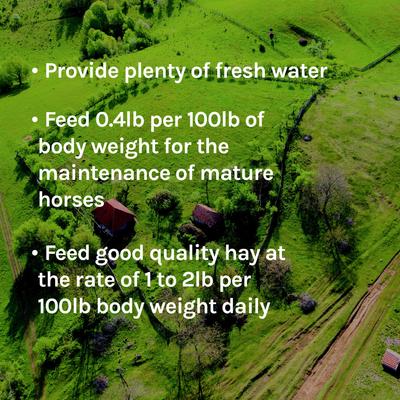 Show full view: New Country Organics Performance Horse Feed, 40-lb bag slide 5 of 7