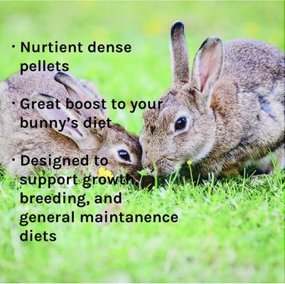 Show full view: New Country Organics Rabbit Pellets Feed, 40-lb bag slide 7 of 8