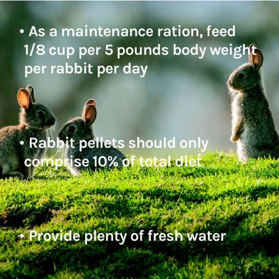 Show full view: New Country Organics Rabbit Pellets Feed, 40-lb bag slide 8 of 8