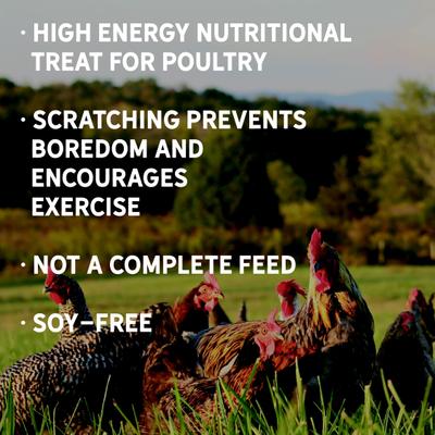 Show full view: New Country Organics Scratch Chicken Feed, 40-lb bag slide 6 of 9