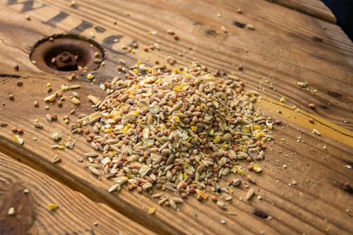 Show full view: New Country Organics Scratch Chicken Feed, 40-lb bag slide 2 of 9