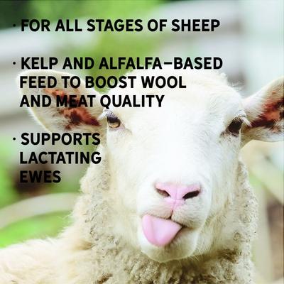 Show full view: New Country Organics Sheep Feed, 40-lb bag slide 6 of 9