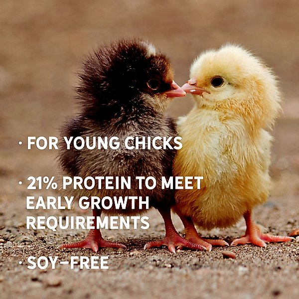 Show full view: New Country Organics Starter Crumble Chicks & Ducklings Chicken Feed, 35-lb bag slide 6 of 8