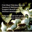 Show in main carousel: New Country Organics Starter Crumble Chicks & Ducklings Chicken Feed, 35-lb bag slide 7 of 8