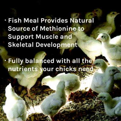 Show full view: New Country Organics Starter Crumble Chicks & Ducklings Chicken Feed, 35-lb bag slide 7 of 8