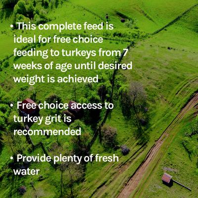 Show full view: New Country Organics Turkey Grower Turkey Feed, 40-lb bag slide 8 of 8