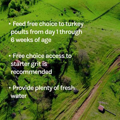 Show full view: New Country Organics Turkey Starter Turkey Feed, 40-lb bag slide 8 of 8