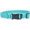 Show in main carousel: New Earth Soy Adjustable Dog Collar, Mint, XX-Small: 6-8-in neck, 3/8-in wide slide 1 of 6