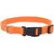Show in main carousel: New Earth Soy Adjustable Dog Collar, Pumpkin, 12 - 18 in slide 1 of 3