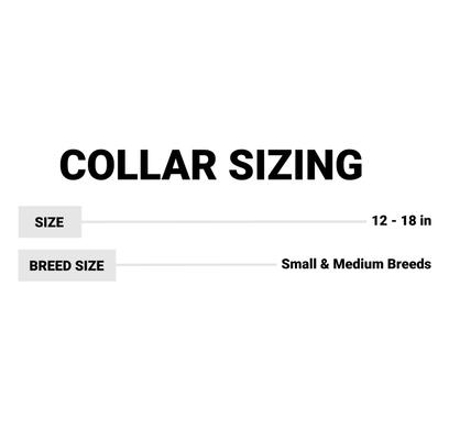 Show full view: New Earth Soy Adjustable Dog Collar, Pumpkin, 12 - 18 in slide 2 of 3