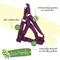 Show in main carousel: New Earth Soy Comfort Wrap Adjustable Dog Harness, Fuchsia, X-Small: 12 to 18-in chest slide 2 of 6