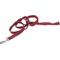 Show in main carousel: New Earth Soy Dog Leash, Cranberry, 6-ft, 1-in slide 1 of 2