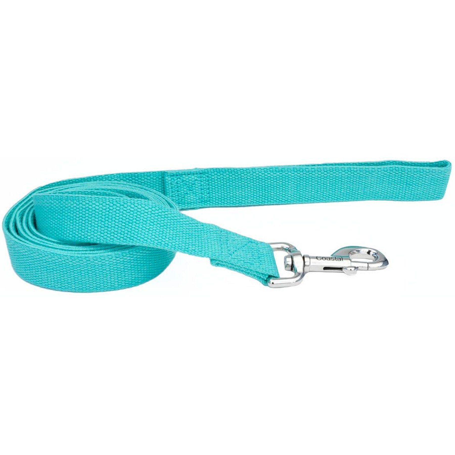 New Earth Soy Dog Leash, Mint, 6-ft long, 1-in wide