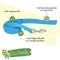 Show in main carousel: New Earth Soy Dog Leash, Mint, 6-ft long, 1-in wide slide 3 of 5