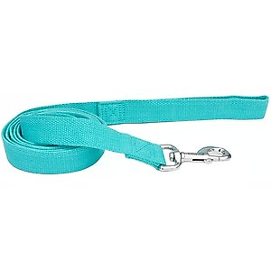 New Earth Soy Dog Leash, Mint, 6-ft long, 5/8-in wide