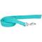 Show in main carousel: New Earth Soy Dog Leash, Mint, 6-ft long, 5/8-in wide slide 1 of 4