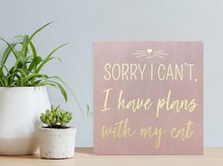 New View "Sorry I Can't, I Have Plans with My Cat" Box Sign slide 2 of 2